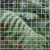 Kingfisher Garden Mesh Netting(1) Kingfisher Garden Mesh Netting(1)
